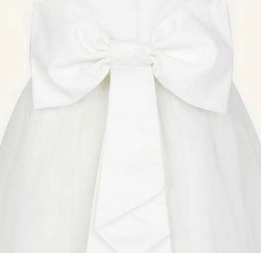 Girls flower girl / Occasion dress